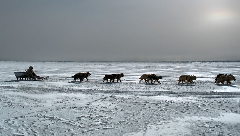 Children Of The Tundra Survival In The Ice