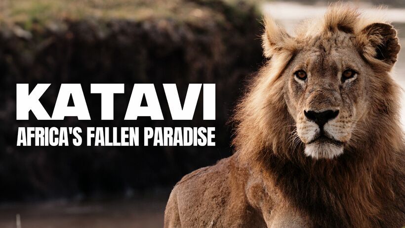 Katavi – Africa's Fallen Paradise